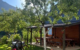 Guest House Kollata